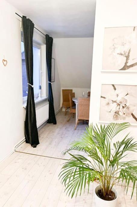 Modernes Apartment Mit Balkon Free Parking Netflix Целле Экстерьер фото