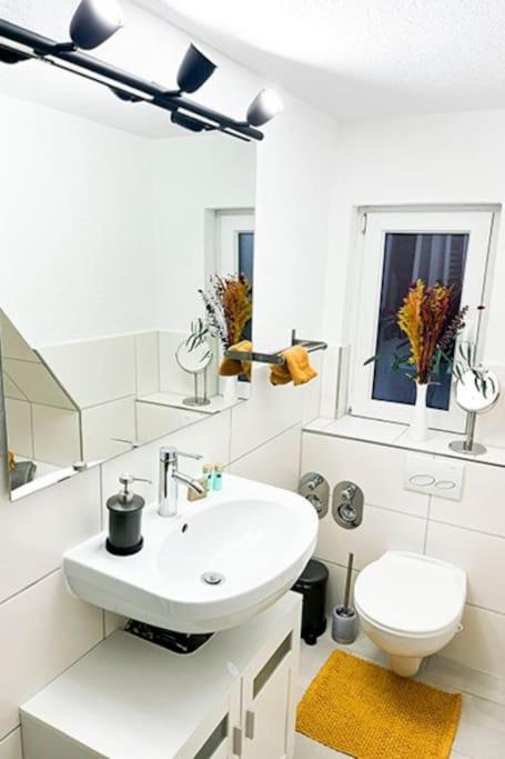 Modernes Apartment Mit Balkon Free Parking Netflix Целле Экстерьер фото